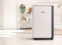 ტენის ამომშრობი Hisense D20CW 40-50 მ2